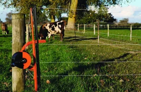 ELECTRIC FENCING FOR BEGINNERS