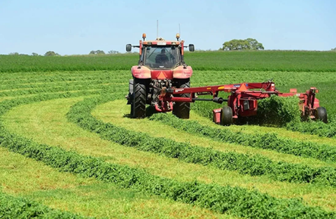 WHAT TO LOOK FOR IN LUCERNE HAY: IT’S NOT ALL ABOUT THE COLOUR!