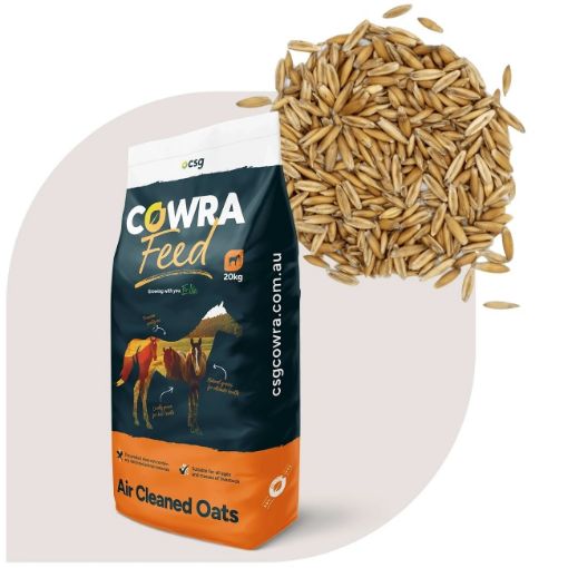 Picture of Cowra Air Cleaned Oats 20kg