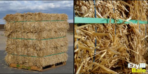 Picture of Straw Ezy Bales