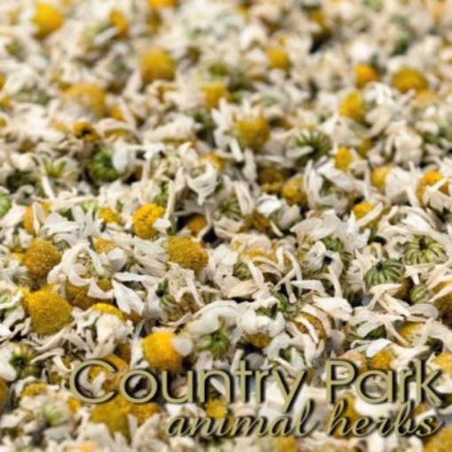 Picture of Chamomile Flowers 1kg