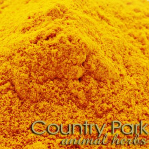 Picture of Turmeric Powder 1kg