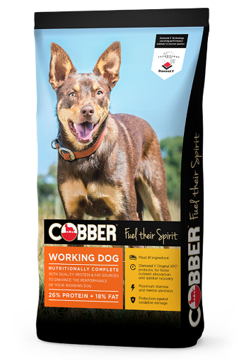 Picture of Cobber Working Dog 20kg