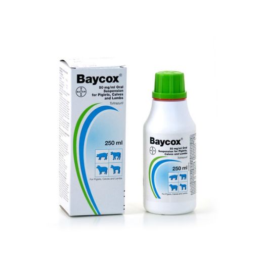 Picture of Bayox Piglet & Cattle 250ml