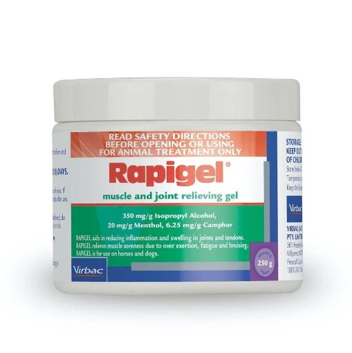 Picture of Rapigel 250gm