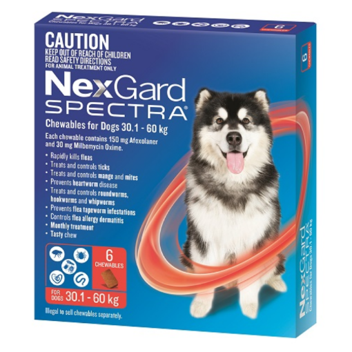 Picture of SPECTRA DOGS RED 30.1-60KG 6PK