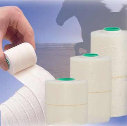 Picture of Askina Plast E Bandage 10cm