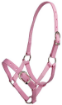 Picture of Small Pony Halter -Shetland