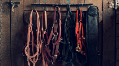 Picture for category Accessories