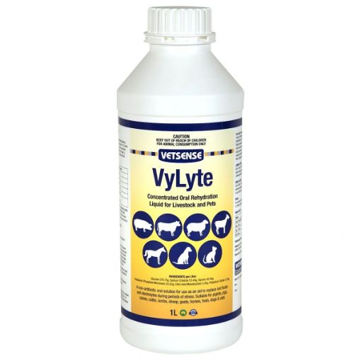 Picture of VyLyte