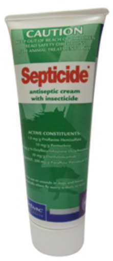 Picture of Septicide 100g