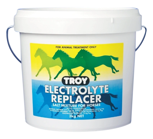 Picture of Troy Electrolyte Replacer 3kg