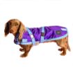 Picture of Zeez Dachshund Dog Coat Purple/Blue