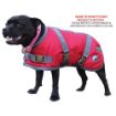 Picture of Zeez Dog Coat Purple/Blue