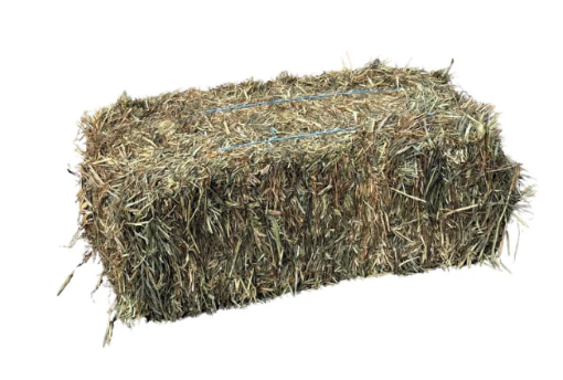 Picture of Oaten Hay