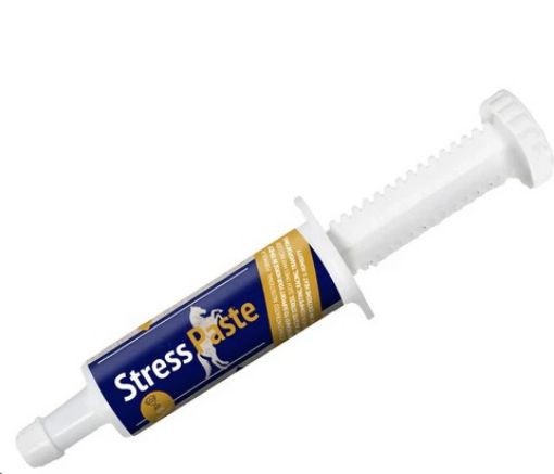 Picture of Stress Paste Poseidon 60ml
