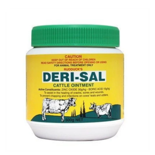 Picture of DERI-SAL 500g