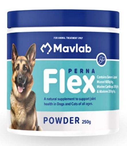 Picture of Perna Flex / Pernaesae Powder 250g